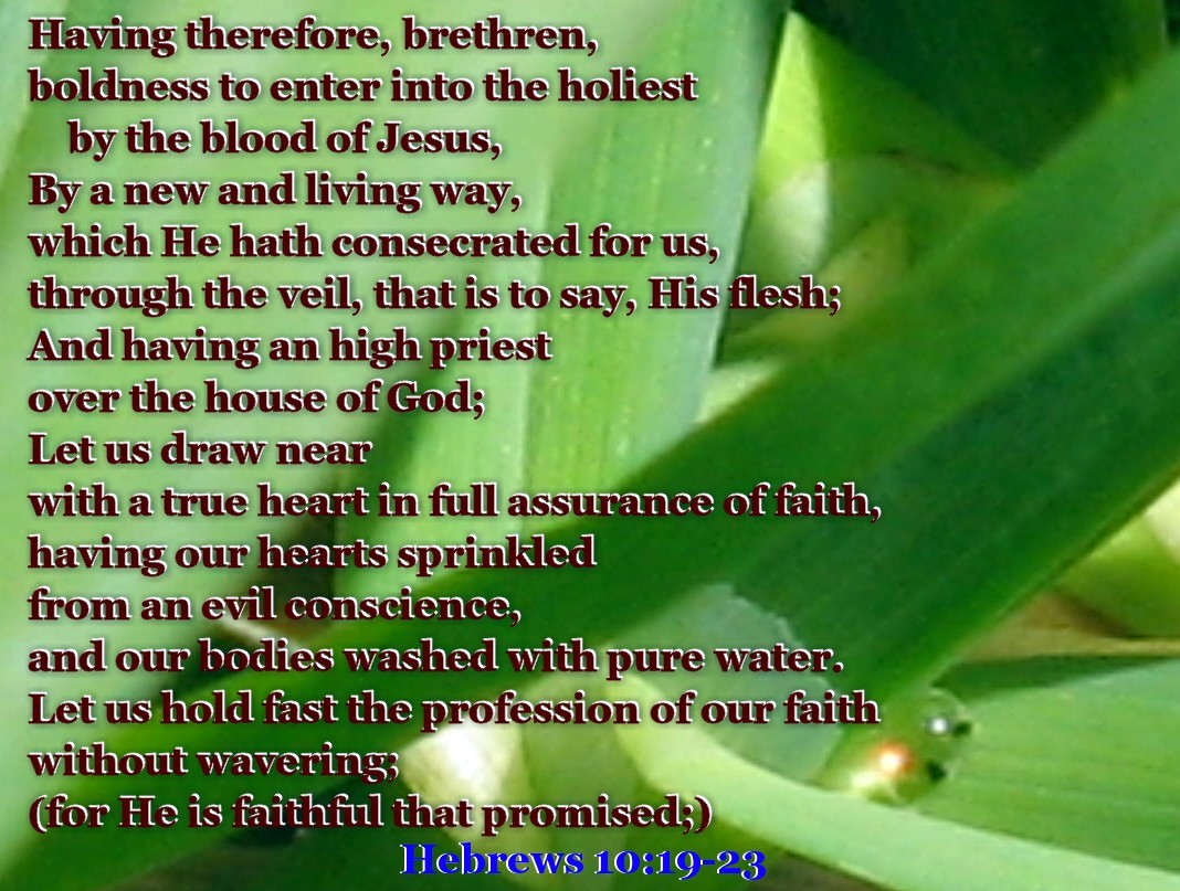 Hebrews10 19to23a.jpg